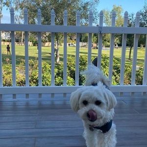 Meet your Posher, Sungsook